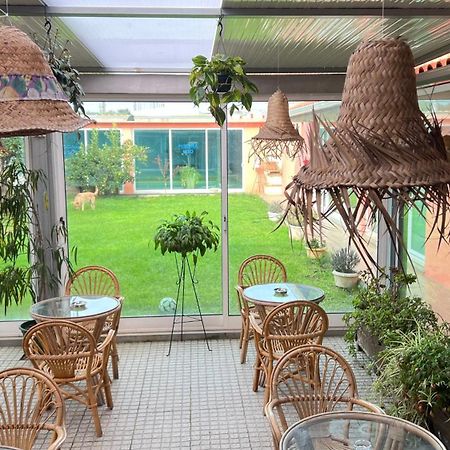 A Fonte Hostel Estarreja Ngoại thất bức ảnh