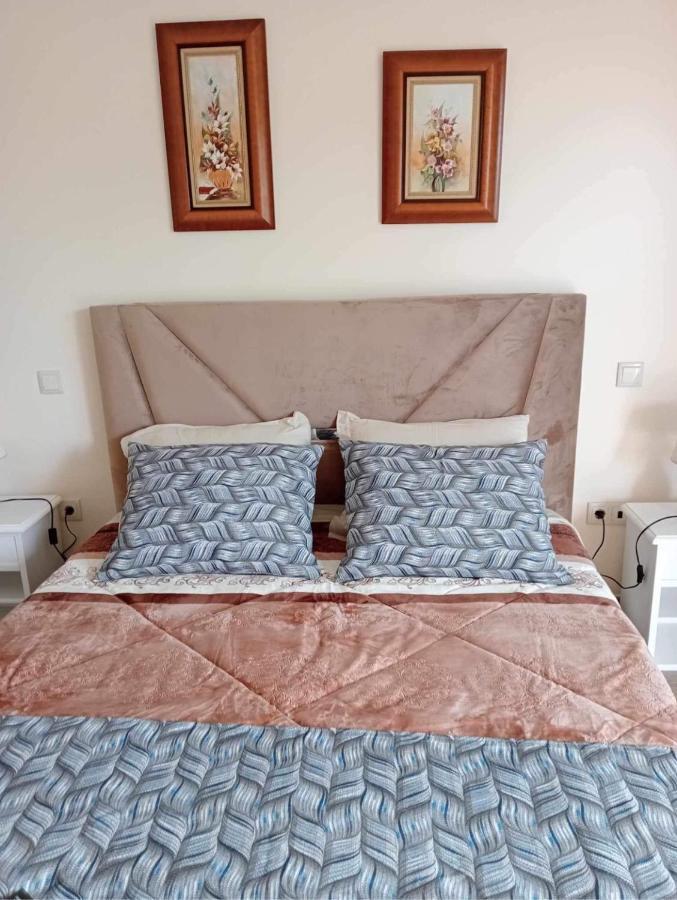 A Fonte Hostel Estarreja Ngoại thất bức ảnh