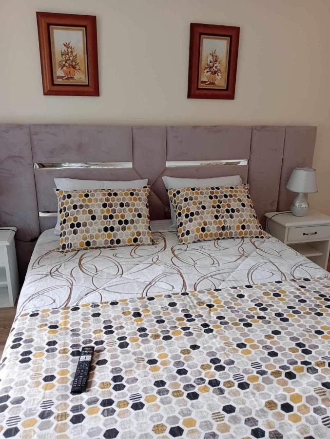 A Fonte Hostel Estarreja Ngoại thất bức ảnh